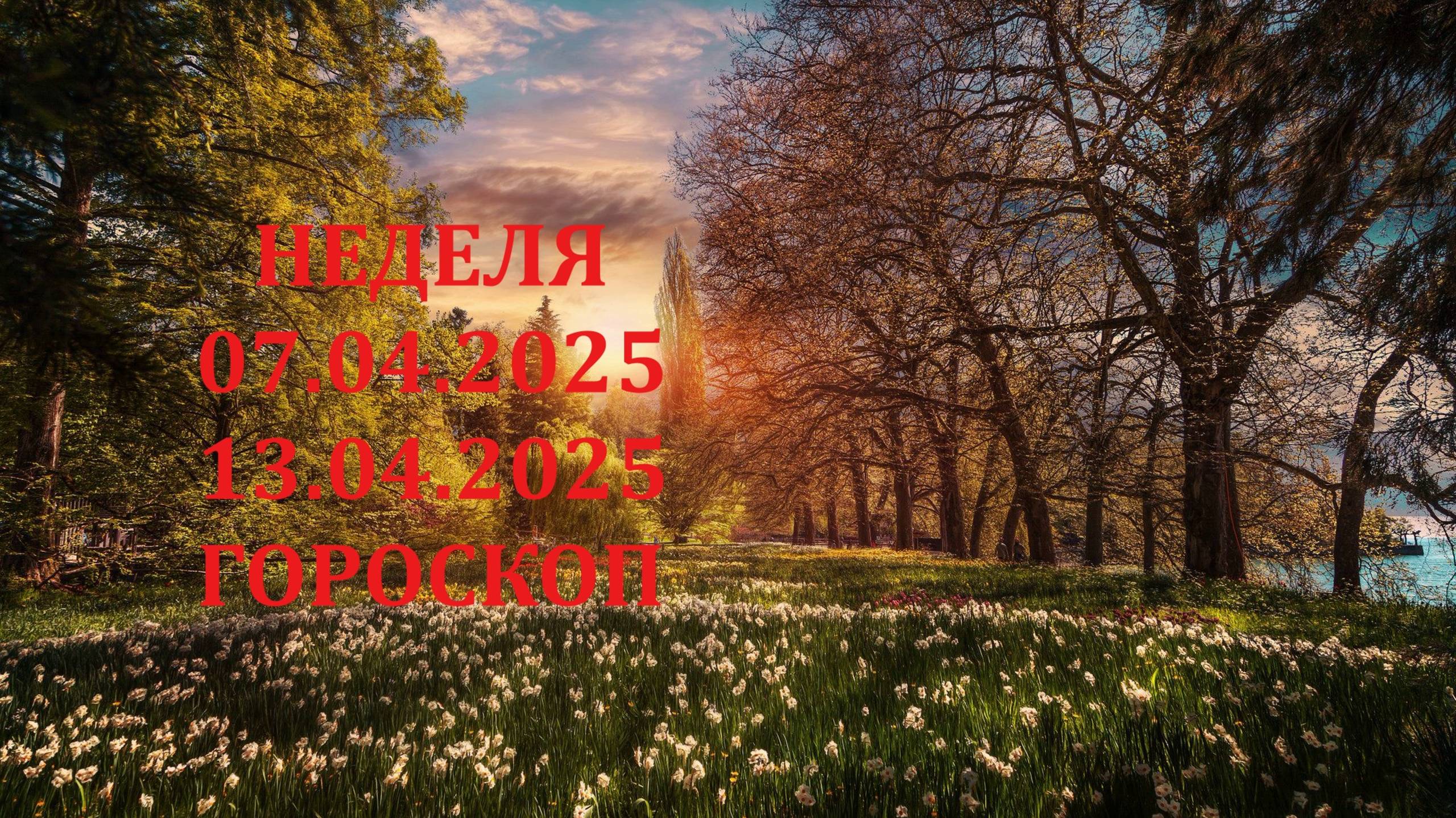 ⭐ ПРОГНОЗ НА НЕДЕЛЮ С 07.04.2025 ПО 13.04.2025 ⭐ Контакты floransia@yandex.ru