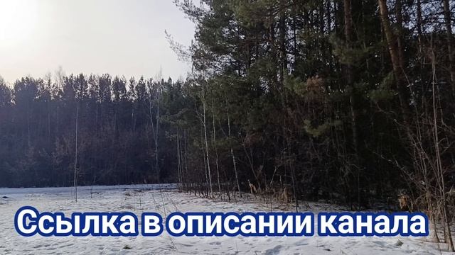 Живём 10 дней на 5000₽ (9,10 день) Экономное меню.
