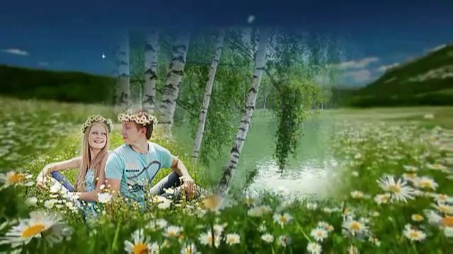 Таня Штерн - Береза белая