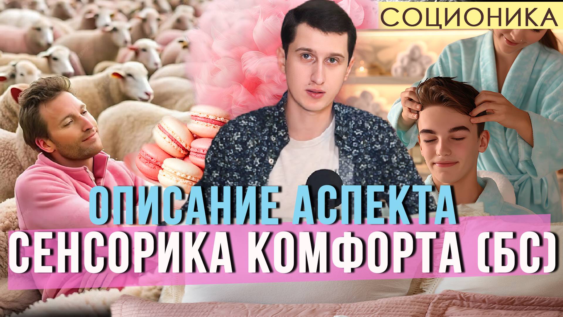 ОПИСАНИЕ АСПЕКТА СЕНСОРИКА КОМФОРТА (БС) В СОЦИОНИКЕ