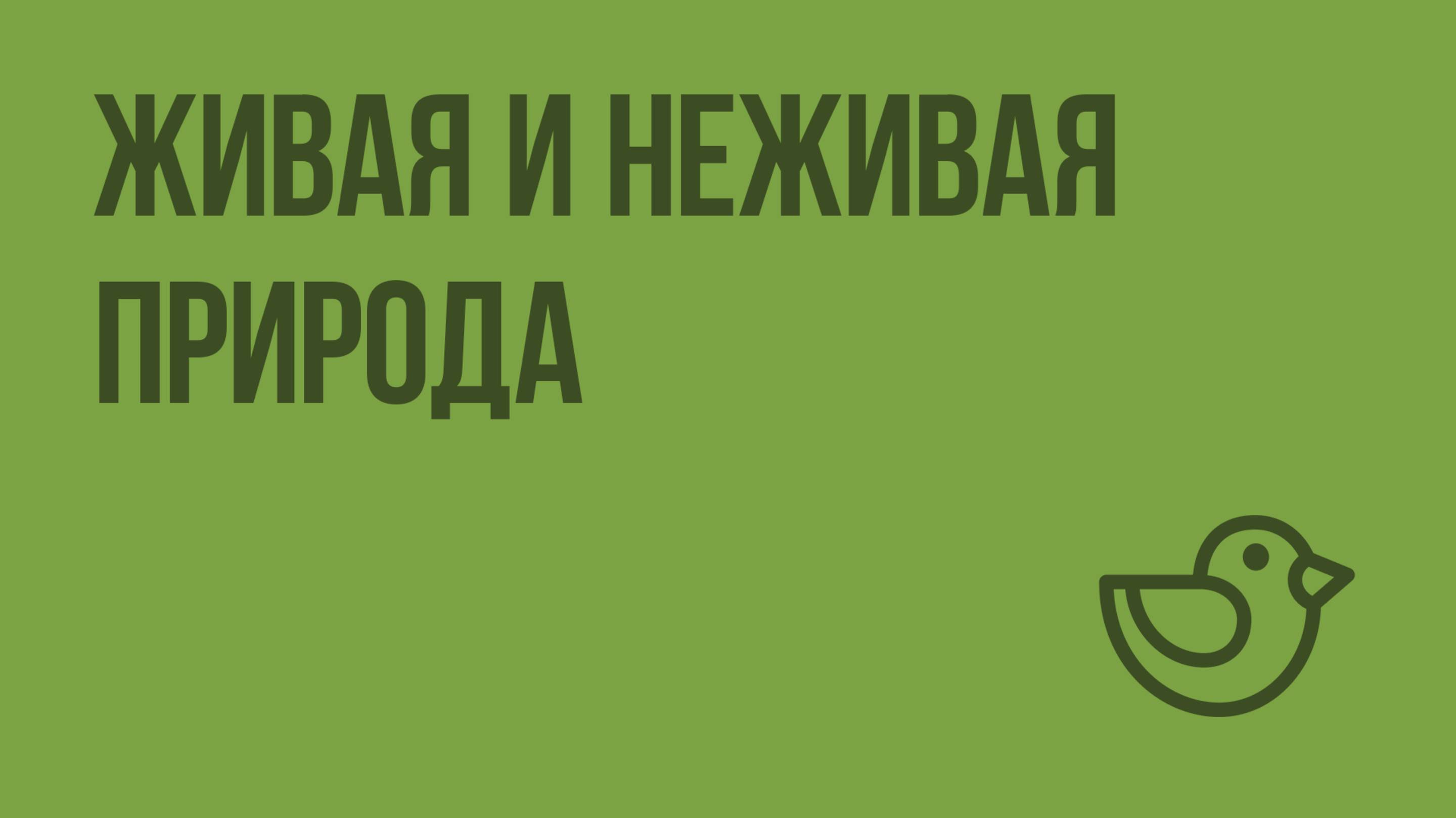 Живая и неживая природа. Видеоурок по окружающему миру 1 класс