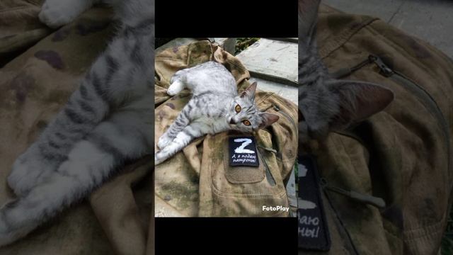 lv_0_20250407125620.mp4
