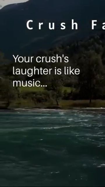 Crush Fact 6 #filmora #filmoramobile