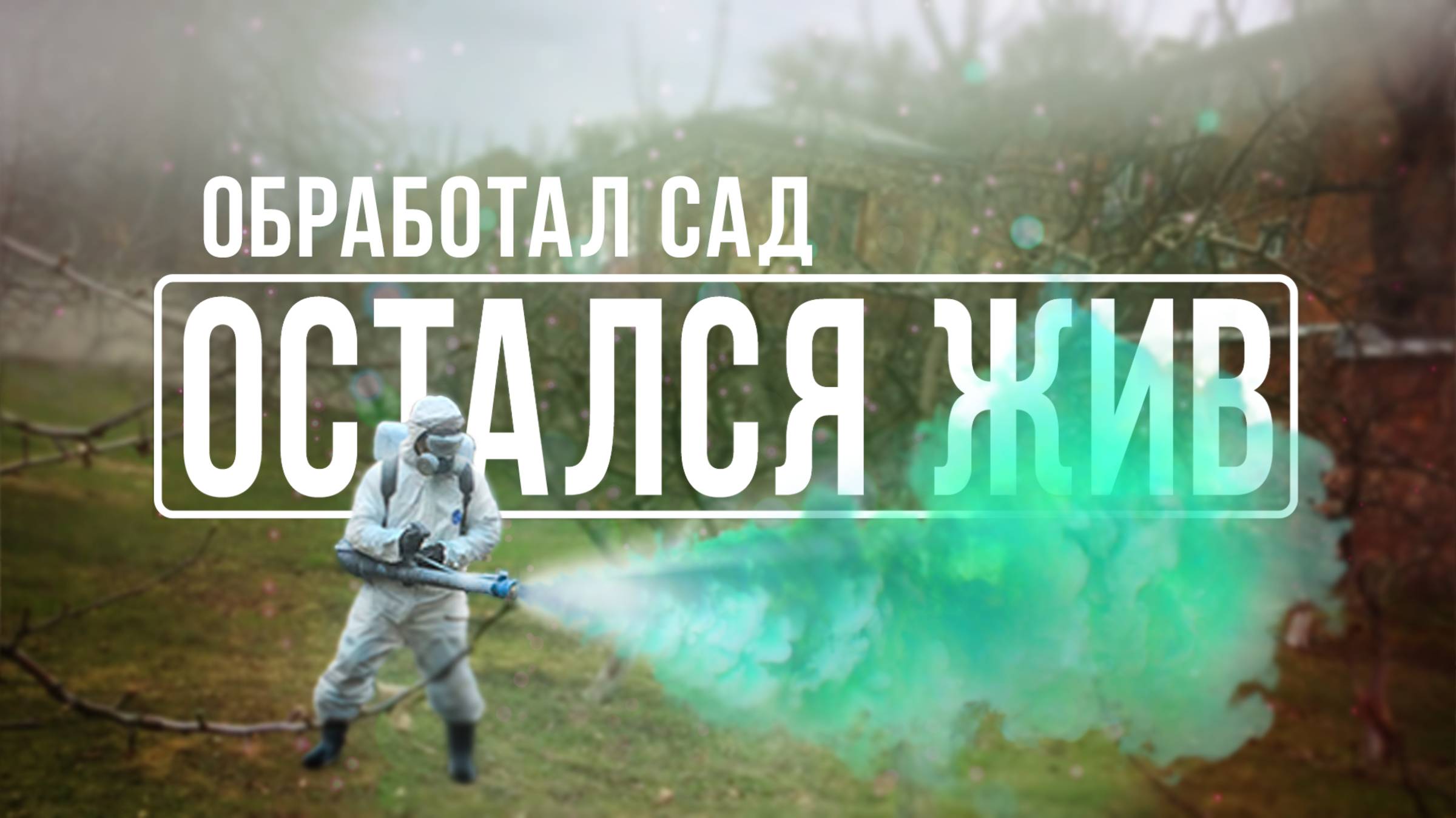 Как весной привести сад в порядок и не отравиться?