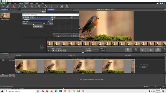 VideoPad Tutorial: How to Color Grade in VideoPad