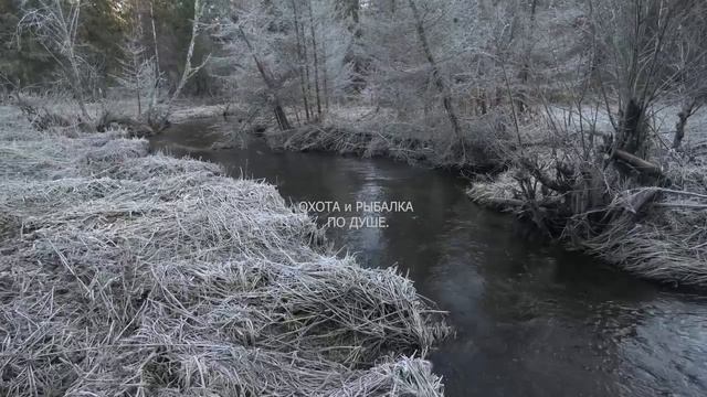 Немного весенней романтики)