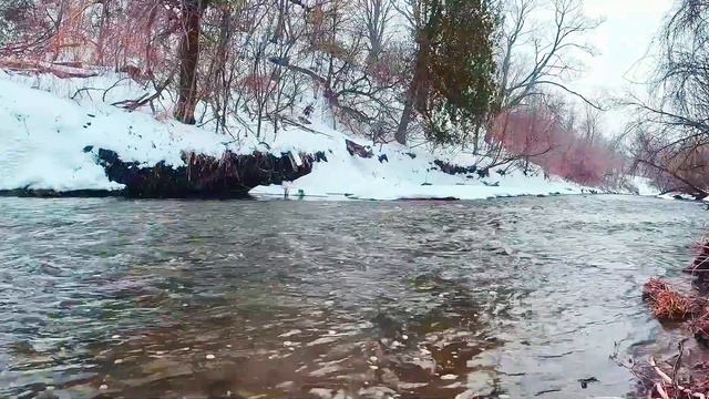 Природная релаксация на видео. Холодная вода реки с заснеженными берегами.