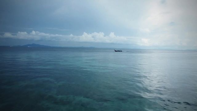The Cove: Phi Phi - The Most Surprising Facts You've Never Heard