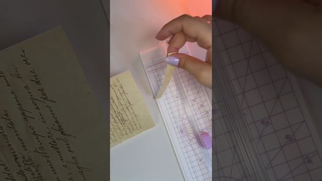 Уже оформляю ежедневник со всей этой милотой 🐇 #bujo