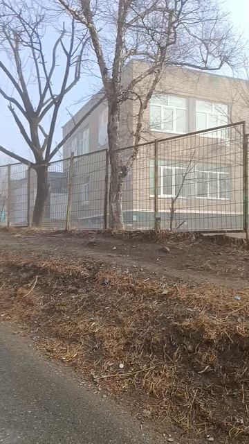 Бухта Тихая / Туман