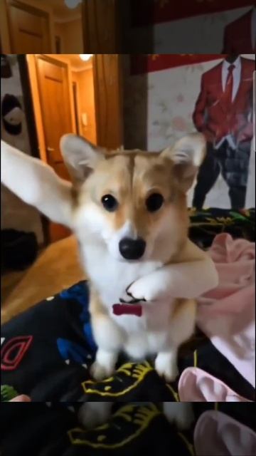 я
