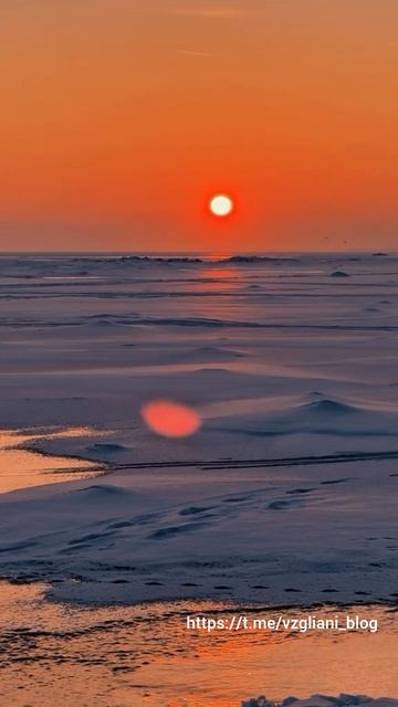Финский залив в багряных объятиях заката🌅🌊https://t.me/vzgliani_blog #travel #russia #sunset #shor