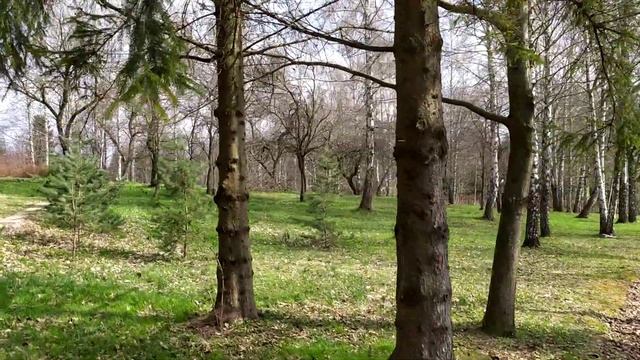 Територія санаторія Молдова у Трускавці і перехід в парк повз Ріксос 20 квітня 2021 р.