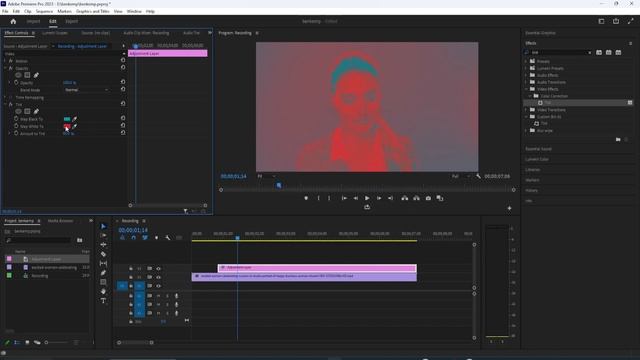 How to Change Video Color Premiere Pro 2023 (Tint Effect) | Premiere Pro Tutorials
