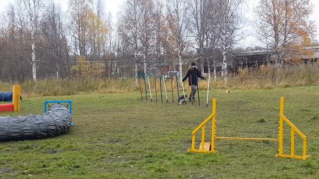 Соревнования 13.10.2019 Джампинг Юки