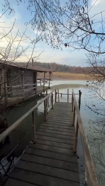 Баня. Профессиональные парения .