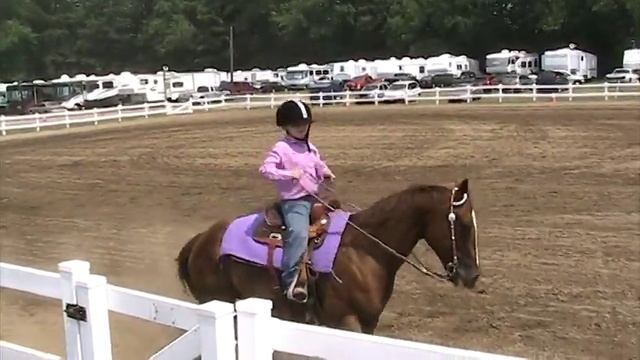 4-H Reining Freestyle at County Fair