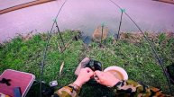 Бешеный клёв, не успеваем отцеплять сазанчиков и карасей. 06.04.25