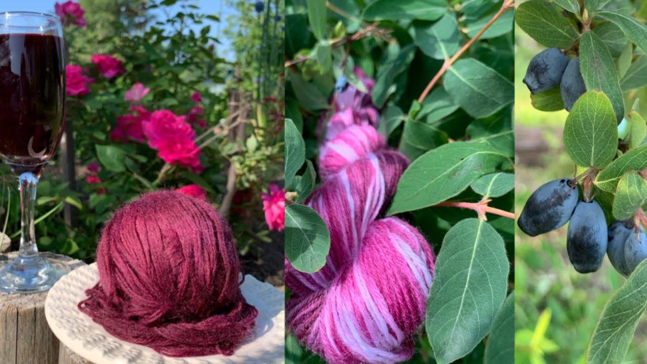 Жимолость-природное окрашивание Alize Artisan