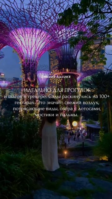 5 причин посетить Gardens by the Bay — даже если вы не ботаник!🦋