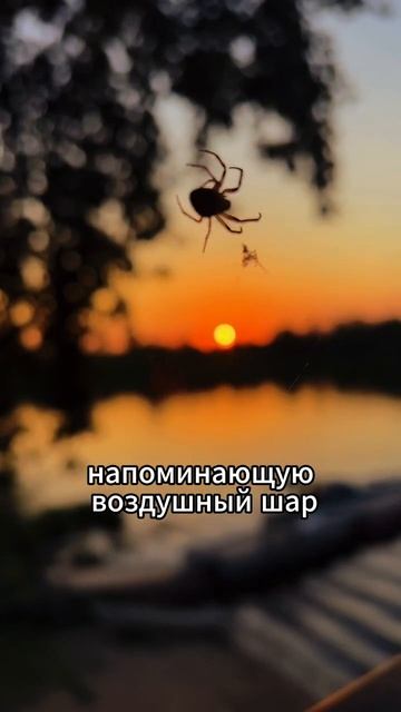 Энциклопедия знаний