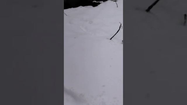 😂😂😂ржака😂😂😂