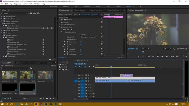 CORREÇÃO DE COR COM O LUMETRI - Premiere Pro CC