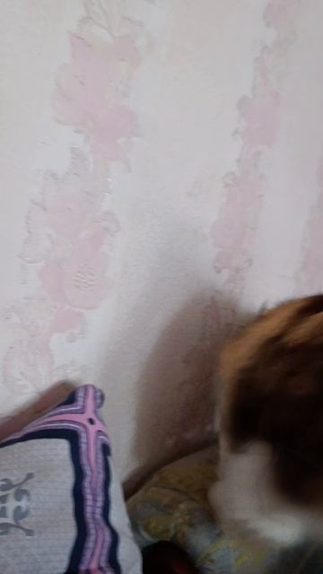 1000002353.mp4