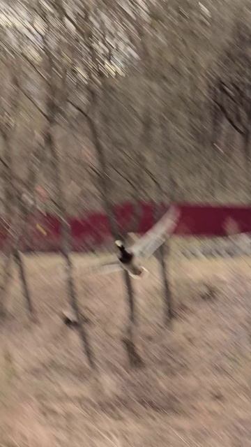 около Протвы