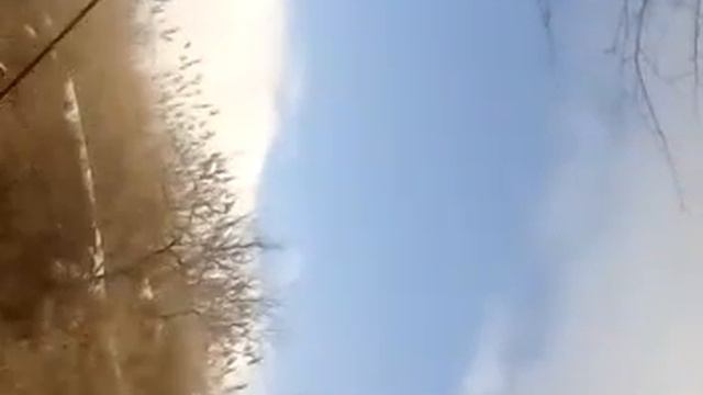Рыбалка с Владам