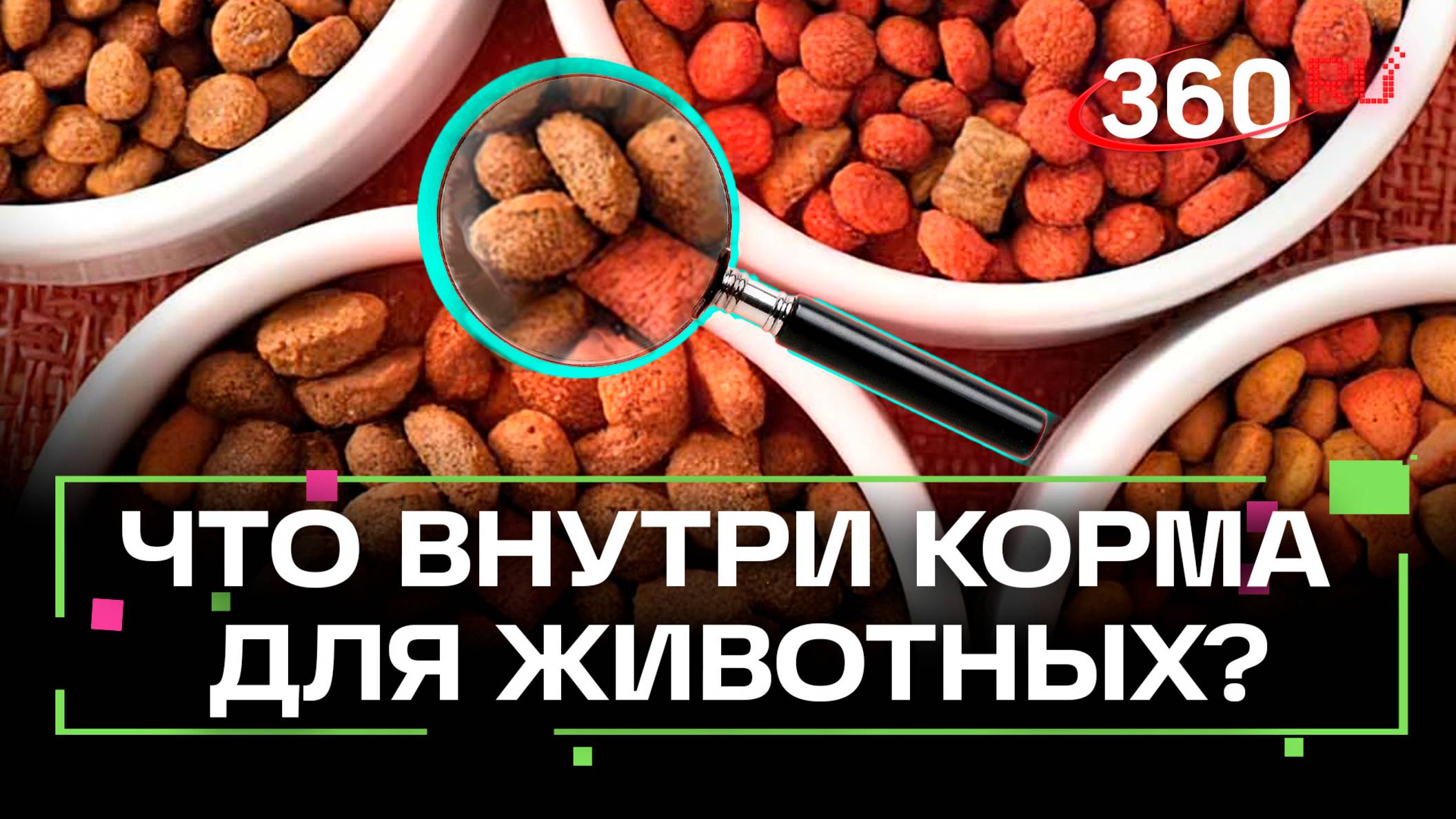 Из чего состоит корм для домашних животных, который вы видите на прилавках магазинов