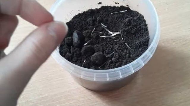 Раскрасим мир живыми красками