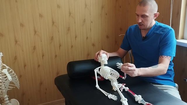 "Экранная шея" - что это такое?! Как гаджеты убивают здоровье! Сколько килограмм мы носим на шее!