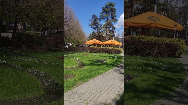 Ул. Красная г. Краснодар