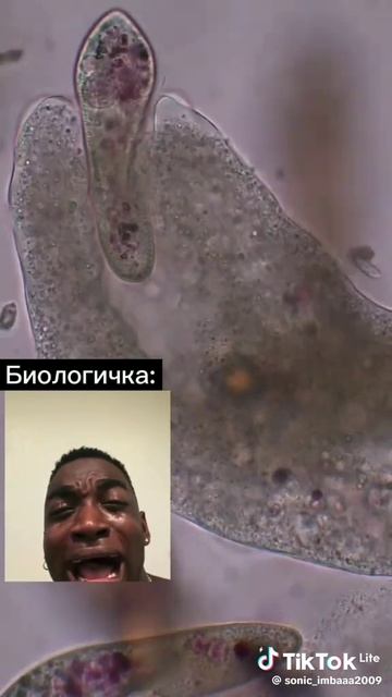 мне выкладывать еще такие смешные видео?