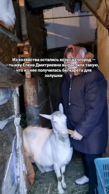 "Надо как-то выживать"