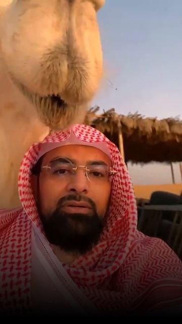 ﷽
Сура аль-Гашийа (Покрывающее), 17-20 аяты
Чтец: Насир аль-Катами

Каждый аят – послание от Аллаха