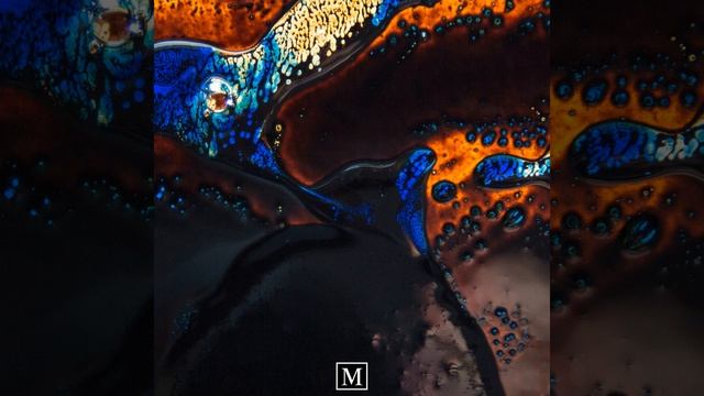 Ameli Paul - Beyond Reason [MEIOSIS]