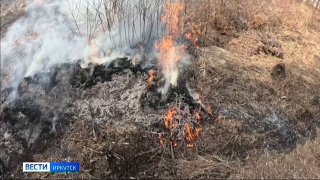 Контролируемые отжиги травы проводят в Иркутске