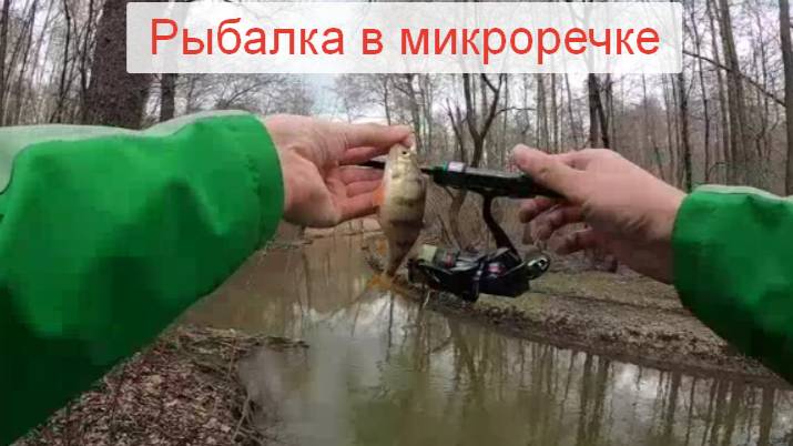 Рыбалка в микроречке по колено. Можно ли кого-то поймать?