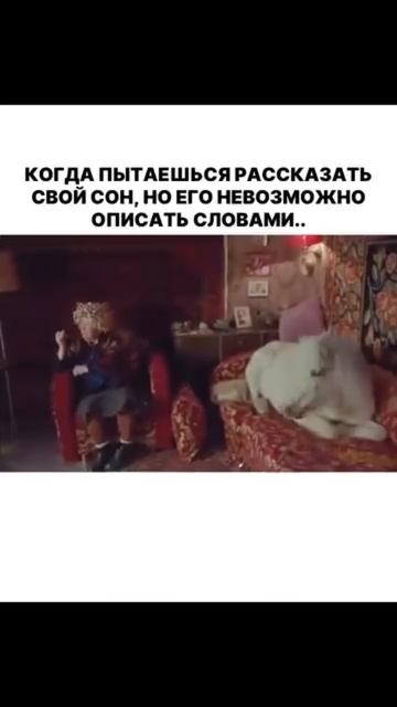 как вообще можно такое рассказать