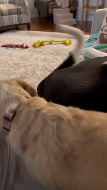 1000079104.mp4