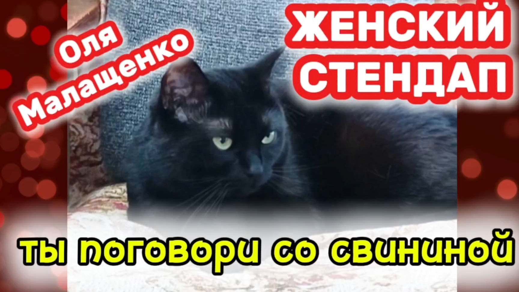 ЖЕНСКИЙ СТЕНДАП. Оля Малащенко "ТЫ ПОГОВОРИ СО СВИНИНОЙ"