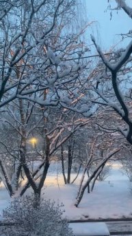 08.04.2025. У природы нет плохой погоды, но не до такой же степени.