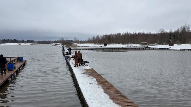 Запуск форели в акваторию 40 кг !!!
