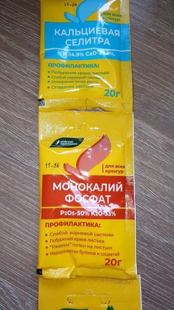 Супер крепкая рассада. Метод "3 × 5".