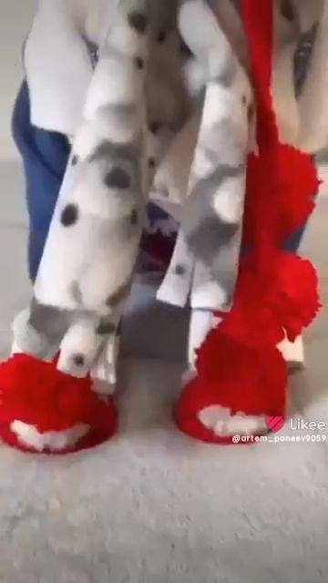 кот с моего канала в Likee