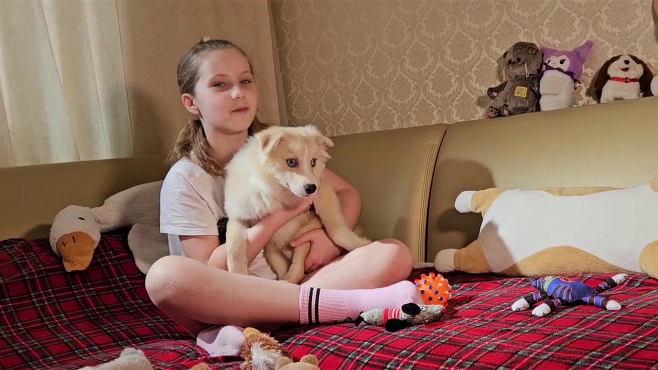 Девятилетней Насте из Артемовска вручили щенка в подарок от Владимира Путина