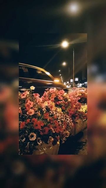 Питер☀
