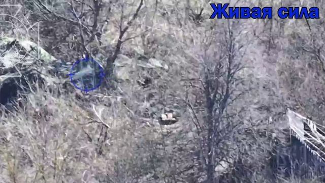 💥Бои в Сумской области: точное попадание в блиндаж с украинскими фашистами !!!